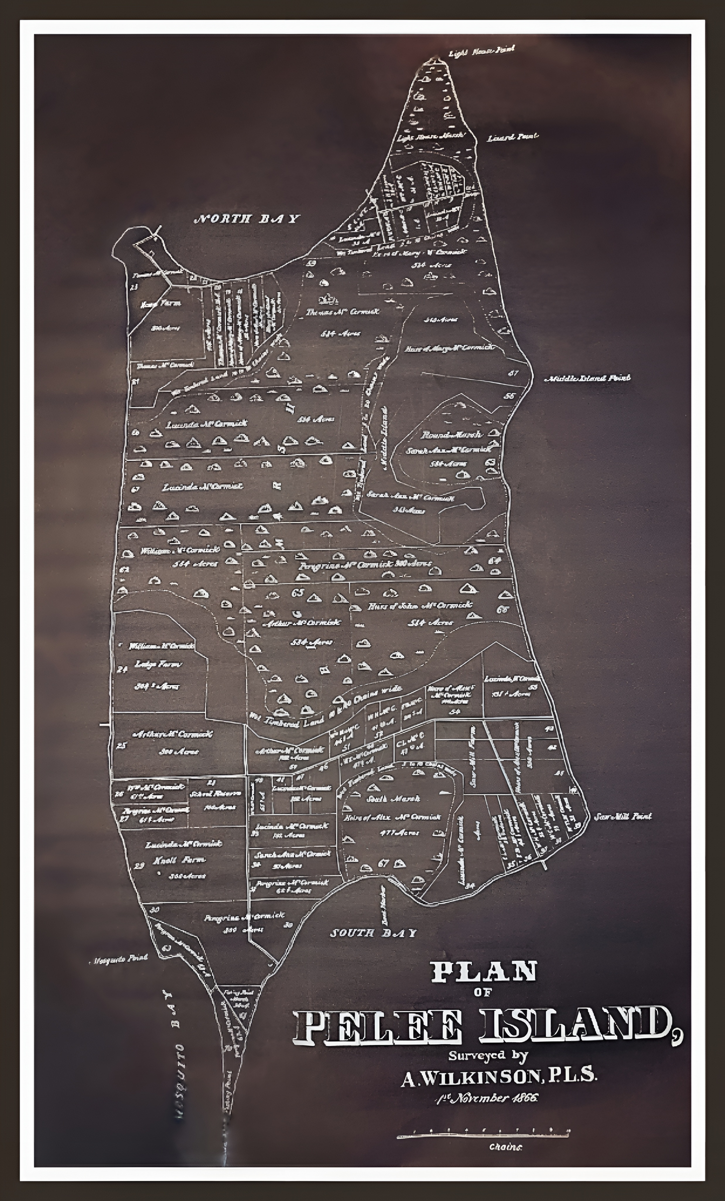 Ladies Ideal Racerback Tank- 'Plan of Pelee' Print