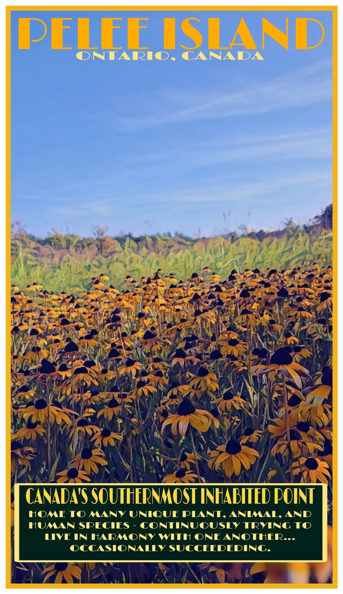 Ultra Cotton Long Sleeve - 'Middle Point Meadow' Print